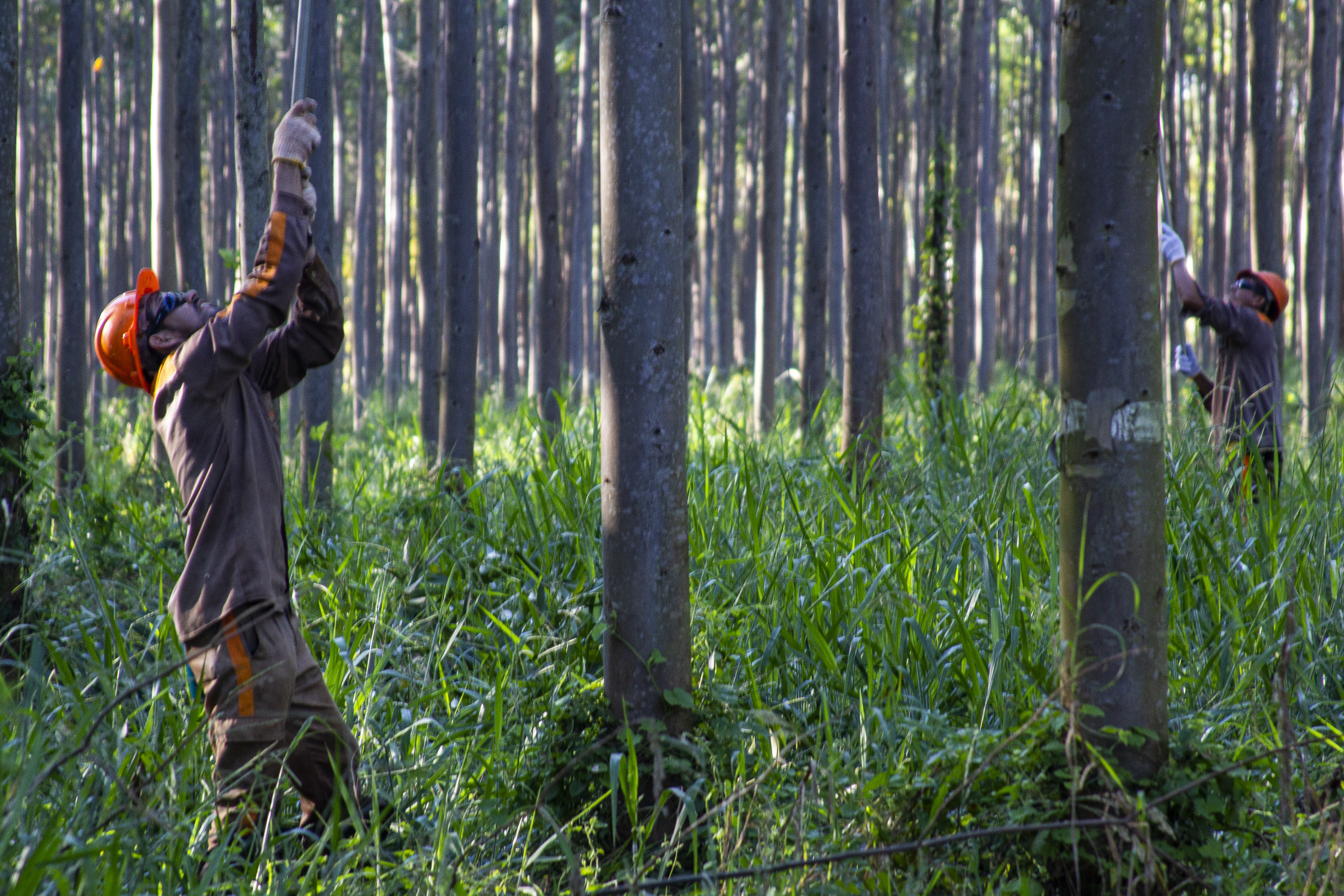Equipos y tecnología aplicada