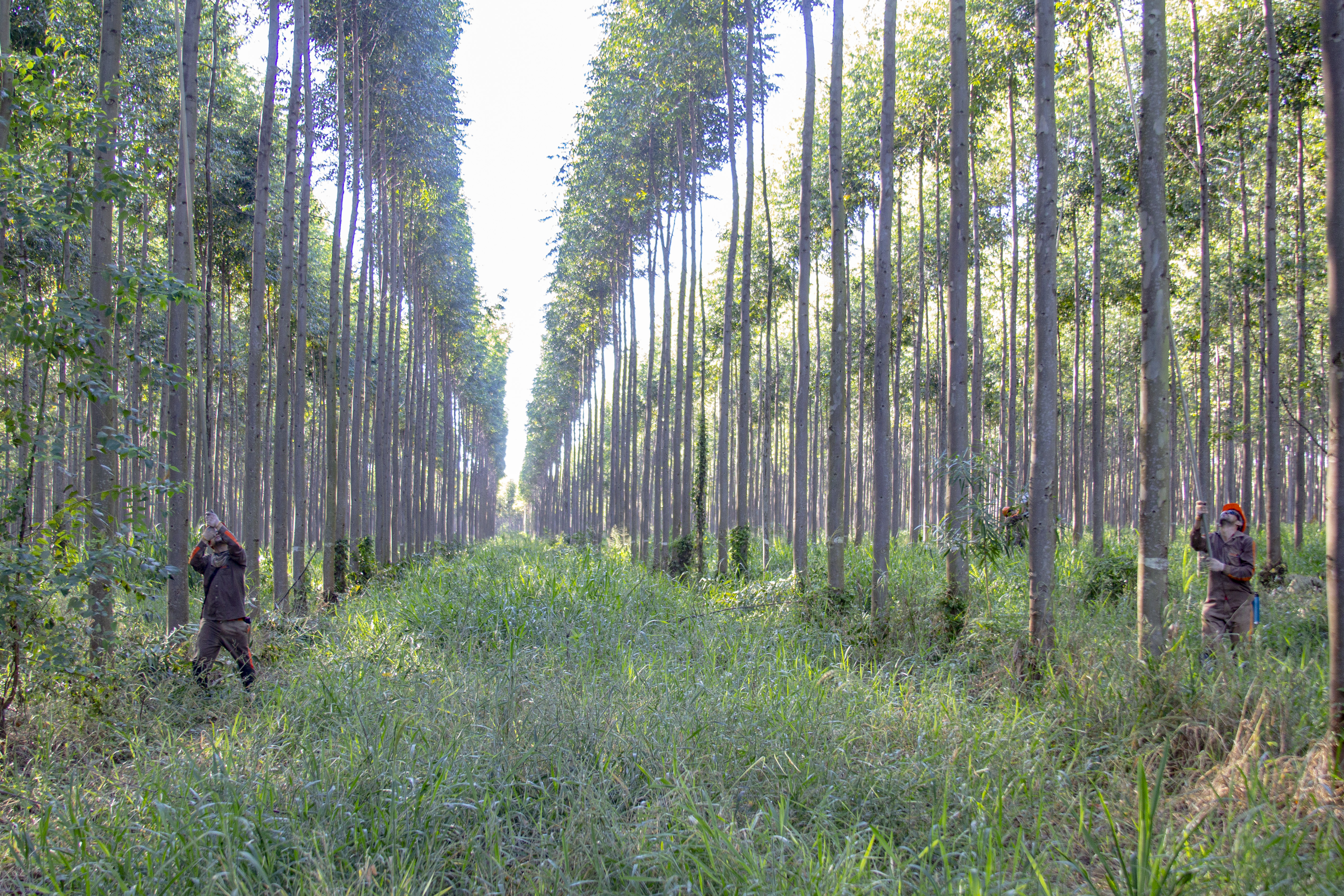 Equipo técnico de INAFO SRL en campo