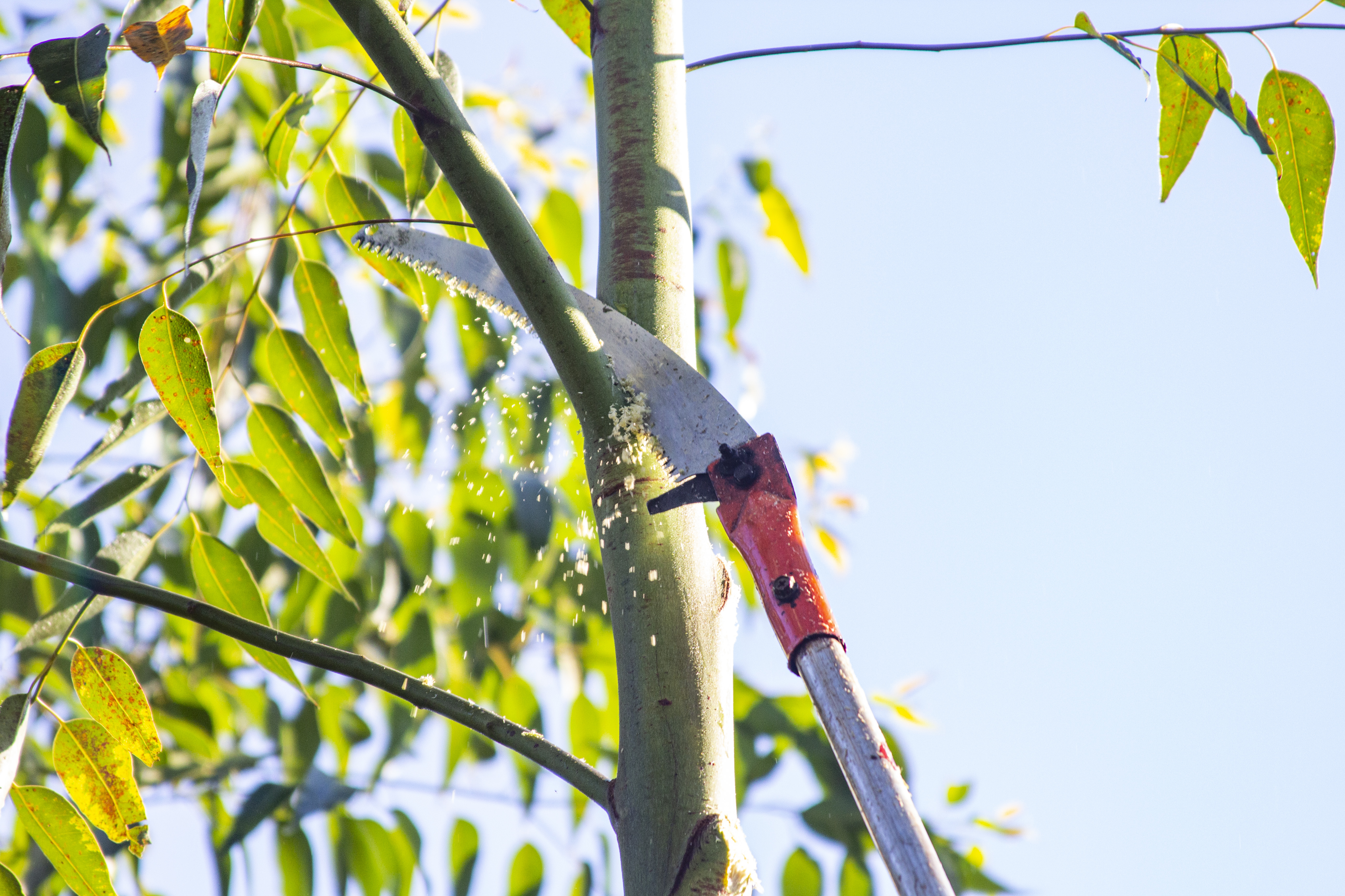 Monitoreo y seguimiento en terreno